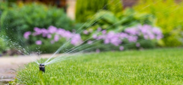 Tìm hiểu hệ thống tưới cây sân vườn tự động | Thiết bị hồ bơi, máy bơm hồ  bơi, bộ lọc hồ bơi, đèn hồ bơi, phụ kiện hồ bơiThiết bị hồ