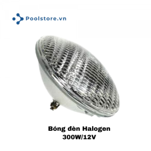 Bóng đèn halogen 300W/12V