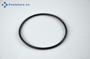 Vòng đệm cao su của máy bơm Kripsol RPUM0011.04R